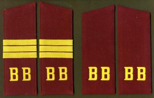 Легко отличаются)