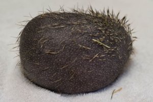 Не плохо так, порезвились...