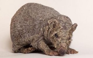 Не плохо так, порезвились...