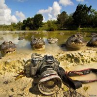 Чистильщик могил. Да, есть такая работа