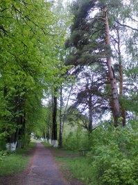 Довелось пожить на Севере,где 9 месяцев зима,а остальное время холодно.Довелось пожить на Юге,где снег большая редкость,а летом хочется прохлады и дождя,чтоб не кирдыкнуться от жары.Но самый комфортный регион-это Центральная Россия,где всё есть-зима,весна,лето и осень,как и положено по календарю.И фиг теперь меня кто убедит,что это плохо или некошерно.Так что можете петь дальше оды про Север и показывать фото из Таиланда.С Рождеством всех.