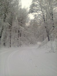 Довелось пожить на Севере,где 9 месяцев зима,а остальное время холодно.Довелось пожить на Юге,где снег большая редкость,а летом хочется прохлады и дождя,чтоб не кирдыкнуться от жары.Но самый комфортный регион-это Центральная Россия,где всё есть-зима,весна,лето и осень,как и положено по календарю.И фиг теперь меня кто убедит,что это плохо или некошерно.Так что можете петь дальше оды про Север и показывать фото из Таиланда.С Рождеством всех.