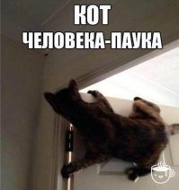 Минимум лапа пострадает, возможно 3.