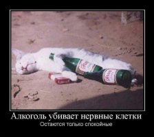 Вот блин, от Вас ничего не скроешь! :0)
Надо было вернуться в ту загрызочную и успокоить себя парой сотен граммов. А утром, как огурчики бы поехали дальше.