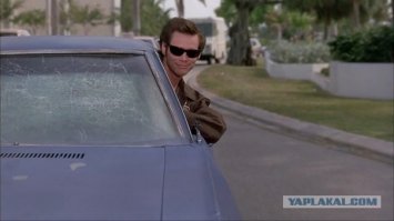 5 необычных бизнес-идей, которые работают. Часть вторая