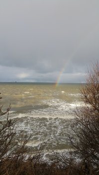 Зеленоградск Калининградской области. 2 января этого года...