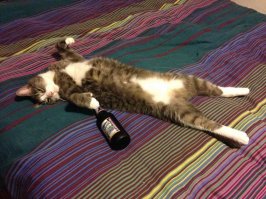 Мы всегда готовы встретить что-нибудь хорошее и попраздновать, эдак недели 2!