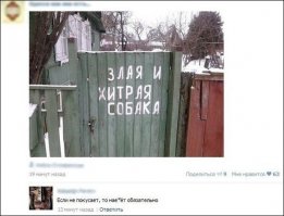 Смешные комментарии из социальных сетей