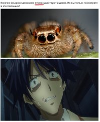 Фотографии,после которых вы обязательно полюбите их!