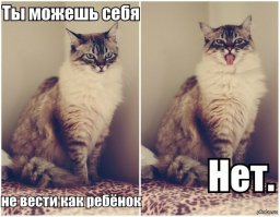 Картинки с надписями