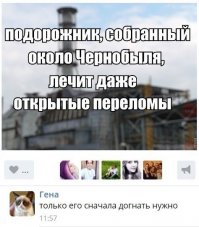 да да я видел как он шины накладывает.