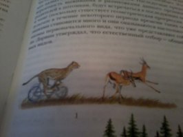 Занимательные учебники