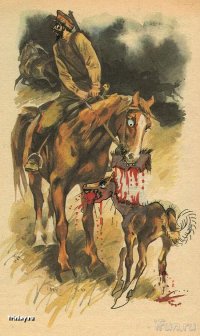 Занимательные учебники