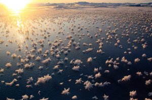 Северный Ледовитый океан
озеро Дружбы, Антарктика
озеро Абрахам,Канада
озеро Байкал