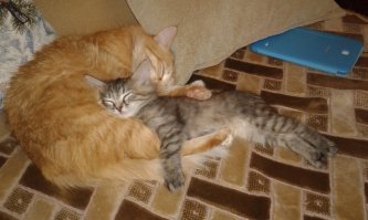 раньше/сейчас