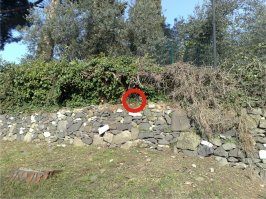 Проверте свою внимательность!