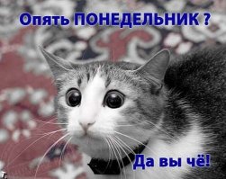 После долгих выходных!