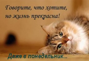 После долгих выходных!