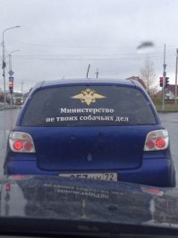 Свежая подборка автоприколов