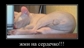 Подборка прикольных картинок