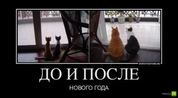 Поднимем бокалы за тех, кто пережил эти новогодние каникулы