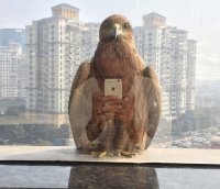 Путин фотографирует?