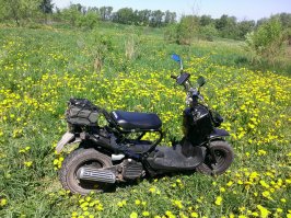 был у меня такой как-то, прикольная игрушка. кстати длина у зумыча вполне взрослая. внимание притягивает, в основном мужское  минус у него всего один, но очень существенный- передняя часть рамы алюминиевая, при ДТП она ломается и рулевая колонка складывается на ноги водителю, так что риск остаться без ног или получить сложный перелом и стать инвалидом пожизненно намного выше чем на классической раме. а, ну и амортизаторы штатные-говно.