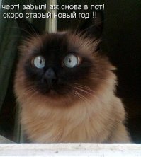 Держитесь товарищи, эту всю лабуду еще на Старый Новый Год повторять будут, в этом году он удачно выпал на выходные))
С гостями уже который год не всматриваемся в эти новогодние огоньки, щелкаем по каналам, но особо не смотрим ничего, если только на караоке какое натыкаемся......