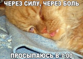 Вот и 9 января! Всё тлен, товарищи