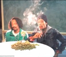 Туда Снуп дог приехал давать концерт что ли?