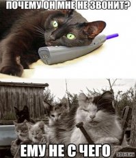 и немного в мире животных