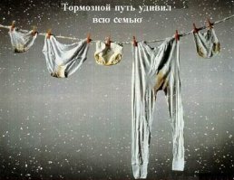 Свежая подборка автоприколов