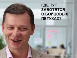 Минприроды позаботится о бойцовых петухах и домашних собаках