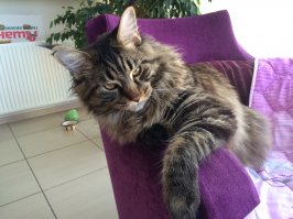 Василий , в целом, одобряэ )))))