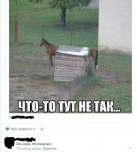 Юмор соцсетей