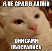 Коты и их люди