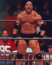 А как же Бил Голдберг?