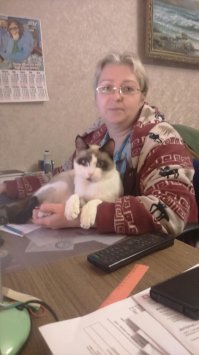 не дает работать