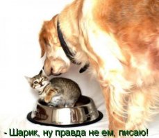 Просто они не ищут легких путей!