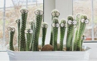 Псс, парень, ты меня видишь?