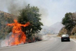 Псс, парень, ты меня видишь?