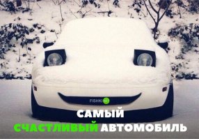 Саня, купи гараж!!!