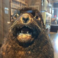 Вот это меня озадачило.... Весьма....