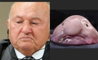 Почему-то вспомнилось.;)