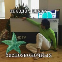 Российские звезды похвастались своими новогодними подарками