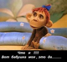 Самые милые, но смертельно опасные животные 