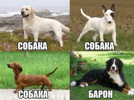 Что означают русские собачьи клички