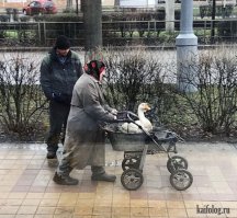 Что происходит на этих фотографиях?