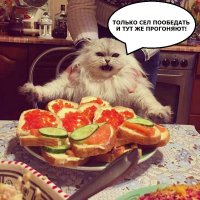 Просто картинки из сети