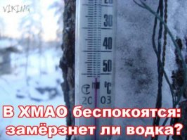 Холода отступили. Подводим итоги московского морозного апокалипсиса